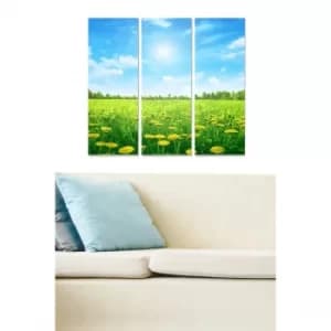 MDF95085385 Multicolor Decorative MDF Painting (3 Pieces)