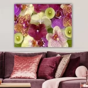 27857242_70100 Multicolor Decorative Canvas Painting