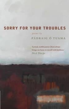 Sorry for your troubles by Padraig Tuama