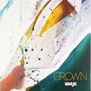Waaju - Grown Vinyl