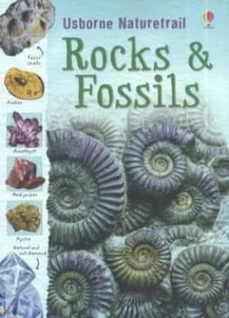 Rocks and Fossils by Struan Reid and Brin Edwards and Non Figg and Ian Jackson and Jane Chisholm and Susanna Davidson Paperback