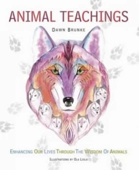 Animal Teachings by Dawn Brunke Book