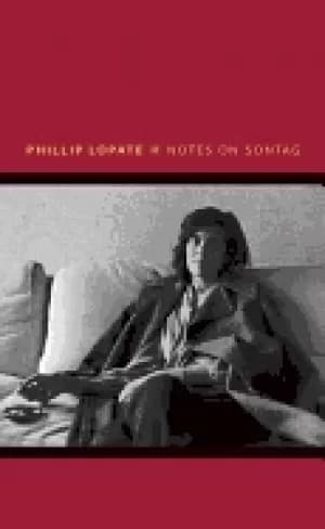 notes on sontag