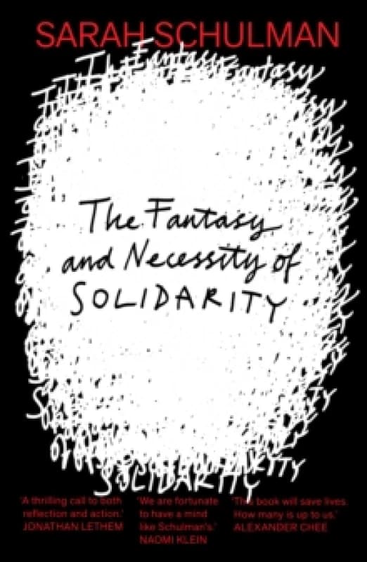 The Fantasy and Necessity of Solidarity Paperback / softback