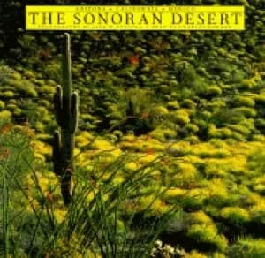 sonoran desert