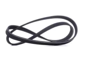 RIDEX V-ribbed belt OPEL,FORD,FIAT 305P0032 55351458,12634319,24435940 Serpentine belt,Auxiliary belt,Poly V-belt,Ribbed belt,Multi V-belt,Poly belt