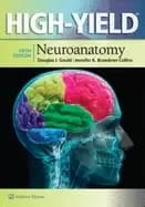 high yield neuroanatomy