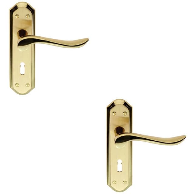 Loops 2x PAIR Curved Lever on Sculpted Edge Backplate 180 x 48mm Satin/Polished Brass Metallics