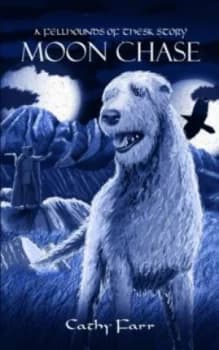 Moon Chase by Cathy Farr Paperback