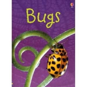 Bugs (Usborne Beginners) (Beginners Series) Hardcover