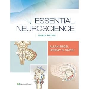 Essential Neuroscience Paperback / softback 2018