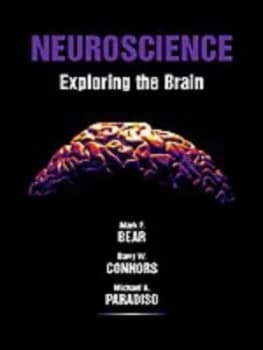 Neuroscience by Mark F Bear and Barry W Connors and Michael a Paradiso Book