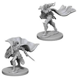Pathfinder Deep Cuts Unpainted Miniatures (W4) Elf Female Paladin