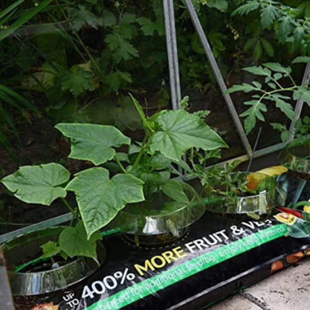 THOMPSON & MORGAN Thompson&morgan - Incredicrop Grow Bag 35 Litre Bag x 1 KA6994