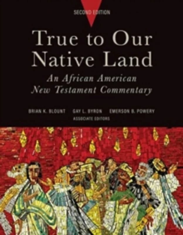 True to Our Native Land, Second Edition : An African American New Testament Commentary Hardback