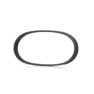 RIDEX V-ribbed belt 305P0030 Serpentine belt,Auxiliary belt VW,AUDI,SKODA,Golf V Schragheck (1K1),TOURAN (1T1, 1T2),Passat Variant (3C5),GOLF VI (5K1)