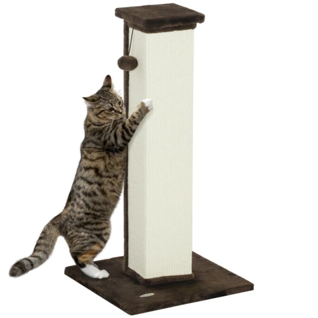 PawHut Cat Scratching Post 81cm Cat Scratcher w/ Hanging Ball, Soft Plush Brown