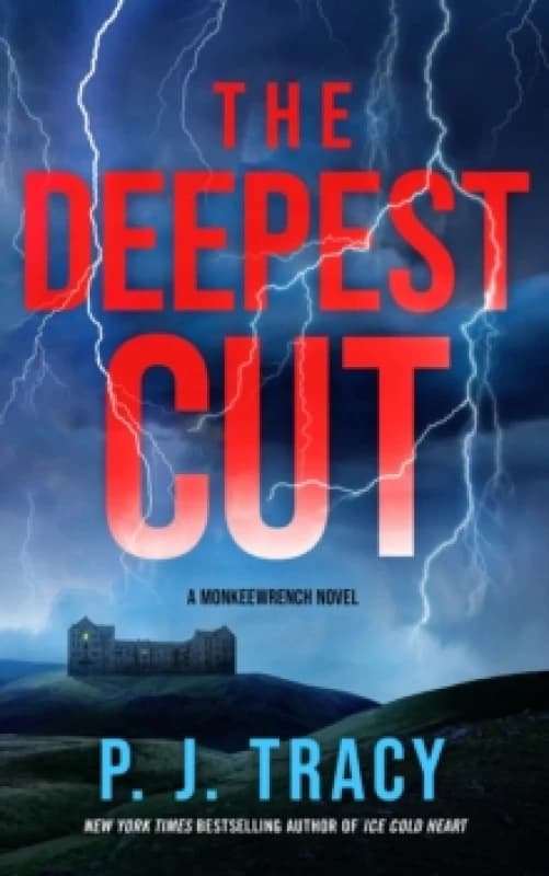 The Deepest Cut : A Novel Hardback