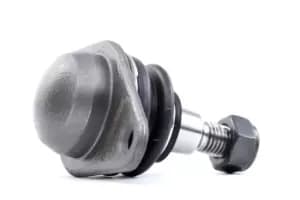 RIDEX Ball joint Lower 2462S0206 Suspension ball joint,Suspension arm ball joint AUDI,80 (89, 89Q, 8A, B3),90 (89, 89Q, 8A, B3),80 (81, 85, B2)