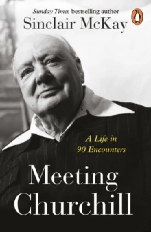 Meeting Churchill : A Life in 90 Encounters Paperback / softback