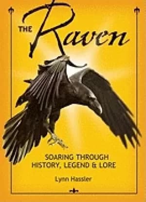 raven soaring through history legend and lore