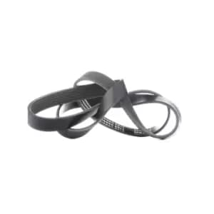 RIDEX V-ribbed belt VW,OPEL,FIAT 305P0231 46811573,55180010,55191004 Serpentine belt,Auxiliary belt,Poly V-belt,Ribbed belt,Multi V-belt,Poly belt