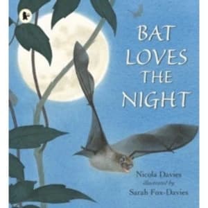 Bat Loves the Night