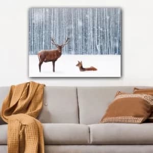 1201635319_70100 Multicolor Decorative Canvas Painting