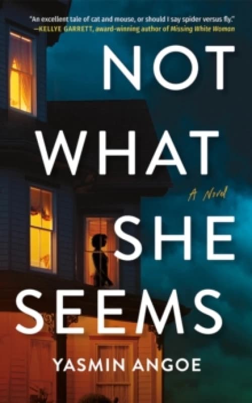 Not What She Seems : A Novel Paperback / softback