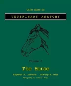 The horse by Raymond R Ashdown