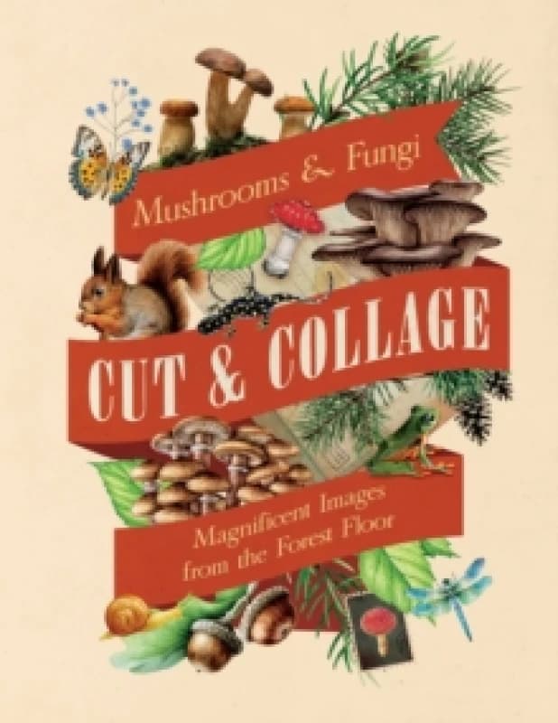 Cut & Collage Mushrooms and Fungi : Magnificent Images from the Forest Floor Paperback / softback