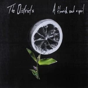 The Districts - A Flourish And A Spoil Vinyl