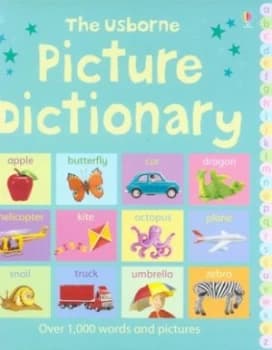 The Usborne Picture Dictionary by Felicity Brooks and Jo Litchfield Hardback