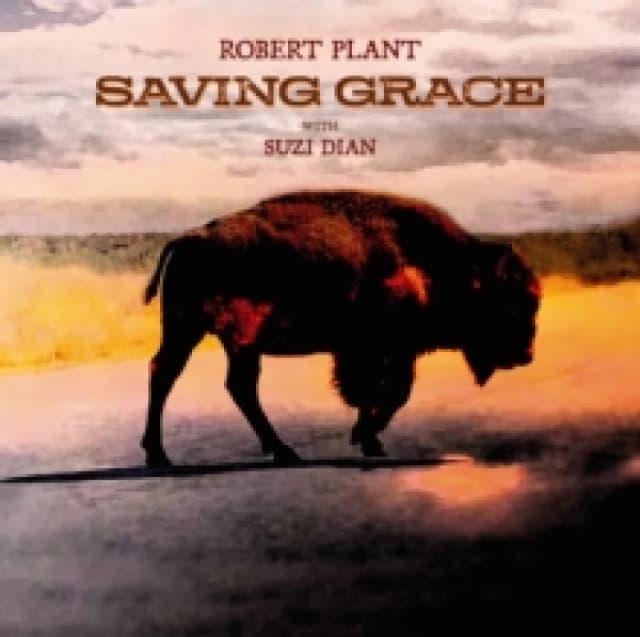 Saving Grace CD / Album