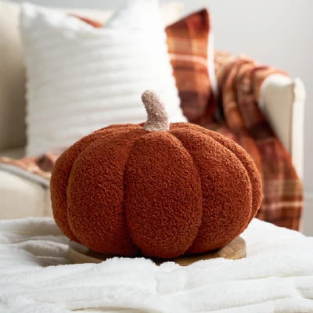 OHS OHS Pumpkin Sofa Cushion Soft Fleece Filled Autumn Plush Home Decor Plump in Burnt Orange Burnt Orange One Size Unisex 5027434191840