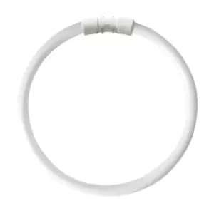 Kosnic 22w CFL T5 Circular Tube 2GX13 Cool White - KFT22STC/4P-840