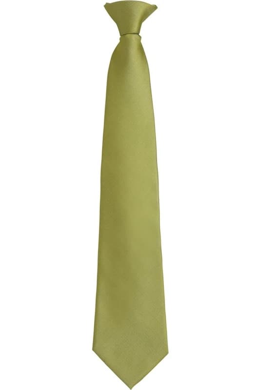 Premier Premier Colours Fashion Plain Clip-On Tie in Light Green Light Green One Size Unisex 5063470683437