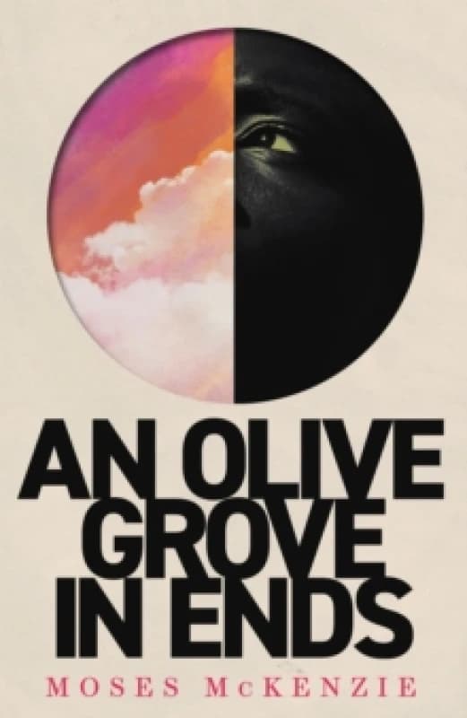 An Olive Grove in Ends : The dazzling debut novel about love, faith and community, by an electrifying new voice Paperback / softback