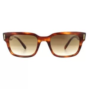 Square Tortoise Light Brown Gradient Sunglasses