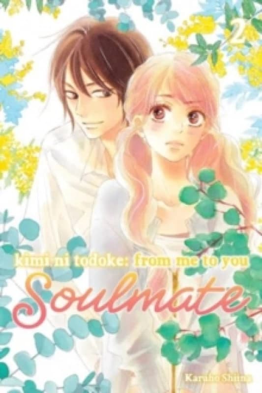 Kimi ni Todoke: From Me to You: Soulmate, Vol. 2 Paperback / softback