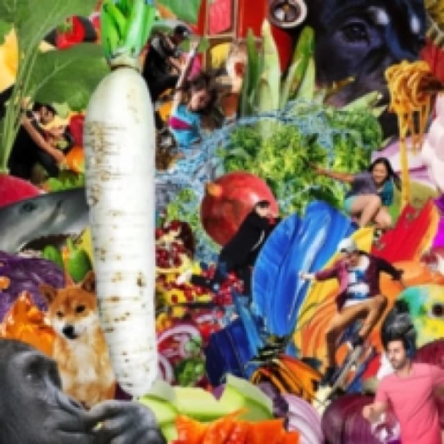 The Radiant Radish Cassette Tape