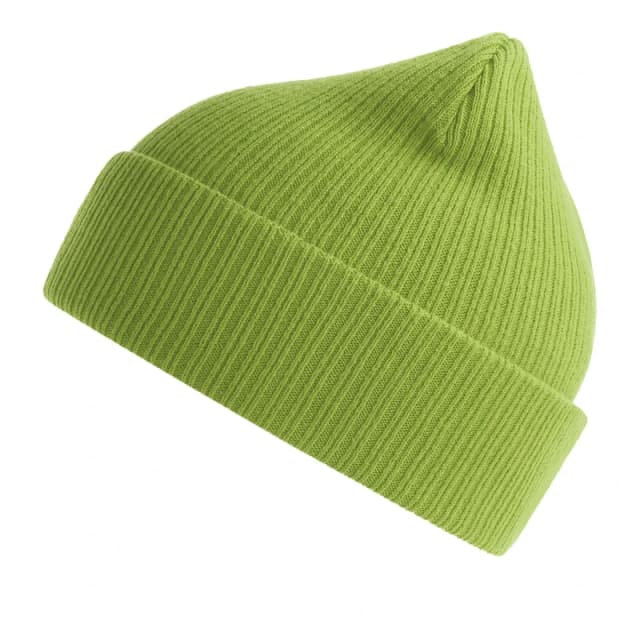 Atlantis Atlantis Men Nelson Ribbed Cotton Beanie in Pale Green Pale Green One Size Male 5063300861165