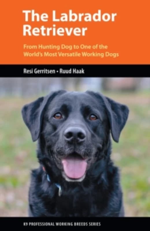 The Labrador Retriever : From Hunting Dog to One of the World's Most Versatile Working Dogs Paperback / softback