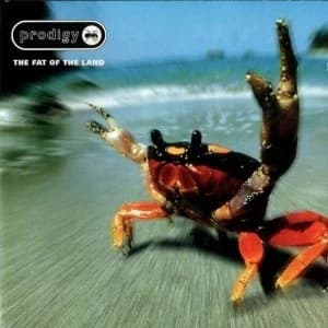The Prodigy The Fat of the Land CD