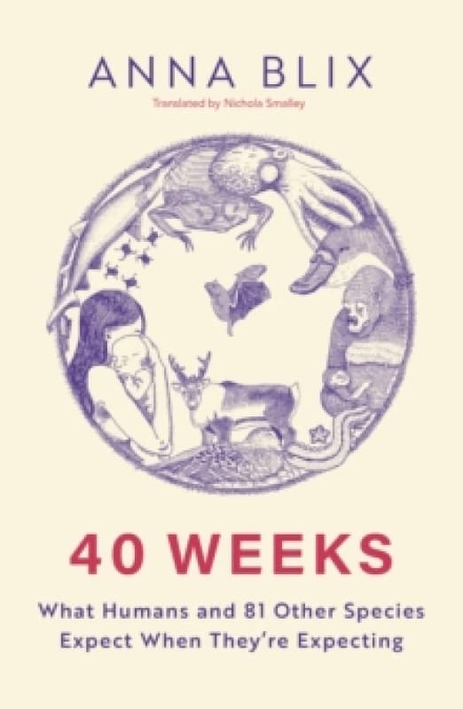 40 Weeks : What Humans and 81 Other Species Expect When They're Expecting Paperback / softback
