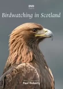 Birdwatching in Scotland