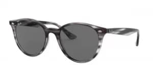 Ray-Ban Sunglasses RB4305 643087