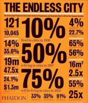 The Endless City by Ricky Burdett Book