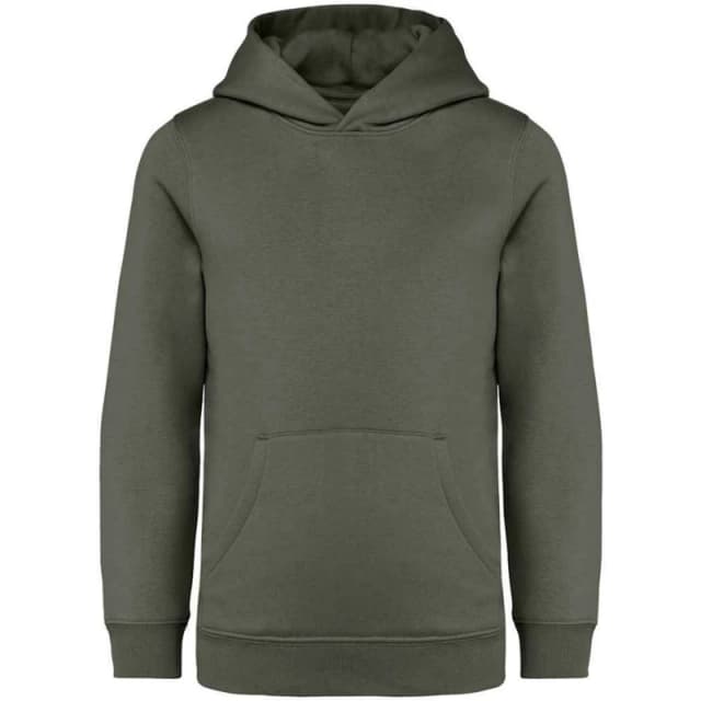 Native Spirit PC5118 girls's Children's Sweatshirt in Multicolour