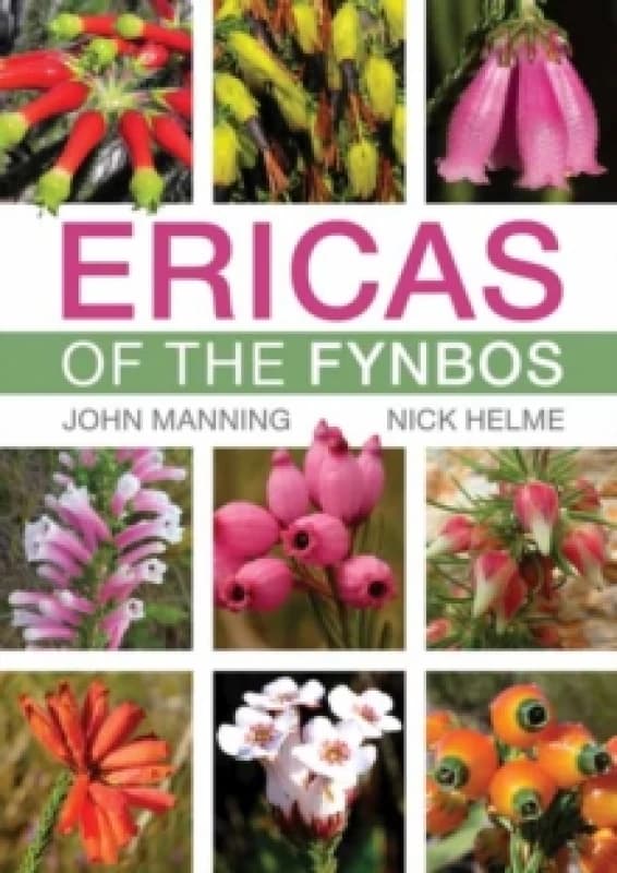 Ericas of the Fynbos Paperback / softback